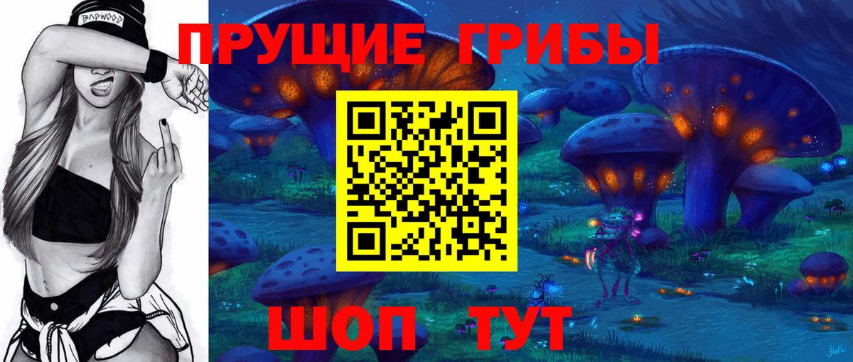 Галлюциногенные грибы Psilocybine cubensis  Вход с VPN  Нефтекумск 